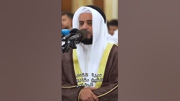 سورة القدر الشيخ مشاري راشد العفاسي @alafasy #مشاري_العفاسي #alafasy #تلاوة
