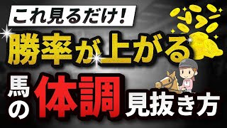 【競馬初心者向け】競走馬の体調を見抜いて回収率を上げる方法