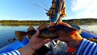 видео: Треска в Белом море . Рыбалка в Лопшеньге картинка: Треска в Белом море . Рыбалка в Лопшеньге