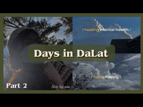 20's diaries 🌷 Solo Travel | Đà Lạt một mình sẽ như thế nào? | chiều đi loanh quanh Đà Lạt Vlog #2