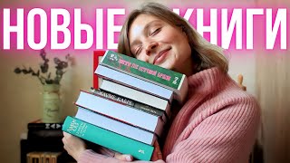 🔥 НЕДУШНЫЕ КНИЖНЫЕ ПОКУПКИ 😮‍💨 или как купить Барабан, Остров и Пещеру 🗿🏝️