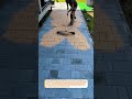 Perfect Polymeric Sand Finish! #Pavers #Landscaping #SatisfyingBuilds