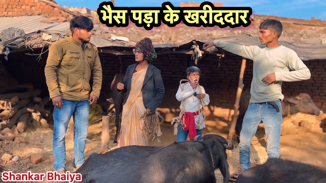 भैस पड़ा के खरीददार !! Bhes Pada Ke Khariddar !! Shankar Ki Comedy !! Pappu Ki Comedy !! Total Ki Co
