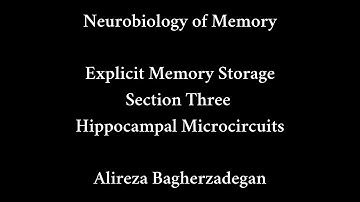 Lecture 16: Explicit Memory Storage, Hippocampal Microcircuits