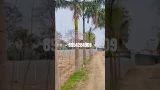 # Botal pump plant All India delivery available plant