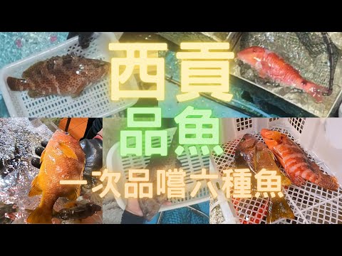 西貢品魚大會😍加工只係食魚魚魚🤣一次6種,鬼頭斑/芝麻斑/六斑九刺鮨/海石蚌/紅三鬚/東星🤤又見人想亂放生沙巴😡真係好鬼嬲~fishcutting香港海鮮~社長遊街市Seafood