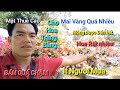 Chợ Hoa Tại Trãng Bàng Tây Ninh,Bán Chợ Tết Quá tuyệt vời Luôn Cả nhà ơi,,,,
