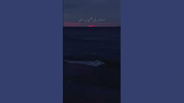 بين الحيطان رامي صبري اكسبلور حالات واتس حزن تصميمي ستوريات رامي صبري حب تصميم فيديوهات 