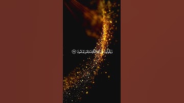 #الصفحة_الحادية_عشر#سورة_آل_عمران #فارس_عباد #الشيخ_فارس_عباد #تلاوة_خاشعة#قرآن #قران_كريم