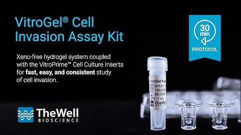 Cell Invasion Assay - 30 minute protocol with the VitroGel® Cell Invasion Assay Kit