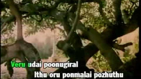 TAMIL KARAOKE VIDEOS  ITHU VORU PON MAALAI  PART 1