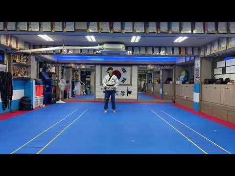 [시합출전 4th. 김지수] Virtual KTA Worldwide Poomsae Championships 2020 - Final