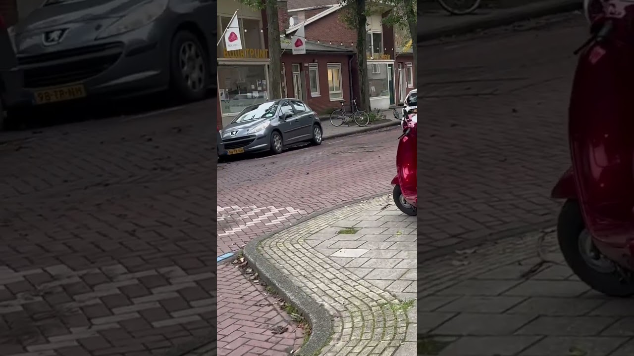 Coffeeshop De Watersnip in Amsterdam(2023)