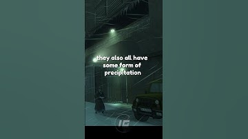 Hitman: Contracts Fun Fact #1