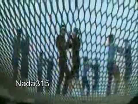 عمرو دياب اغنية وياه فيديو كليب اكتشف الموسيقى في موالي