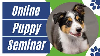 Online Puppy Seminar Trailer