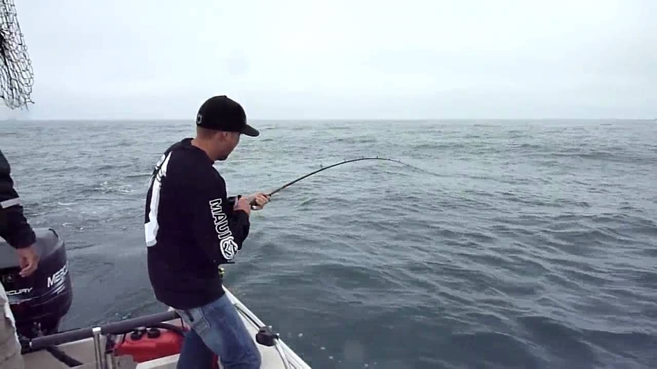 Salmon Fishing YouTube