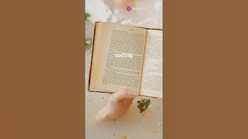 Weirdest Programming Languages You’ve Never Heard Of!