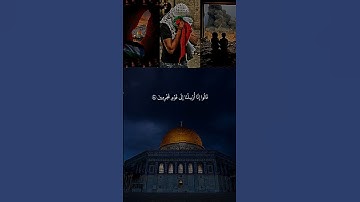اللهم انصر اخوتنا في غزه وفلسطين 🤍🤲 #تلاوة_خاشعة #قران #راحة_نفسية #اكسبلور #فلسطين