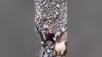 Massive Pebble Ship Unloading in Action - Good tools and machinery make work easy