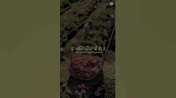 ( قل إن الأولين والآخرين لمجموعون إلى ميقات يوم معلوم ) _اكتب شيء تؤجر عليه -القارئ ياسر الدوسري