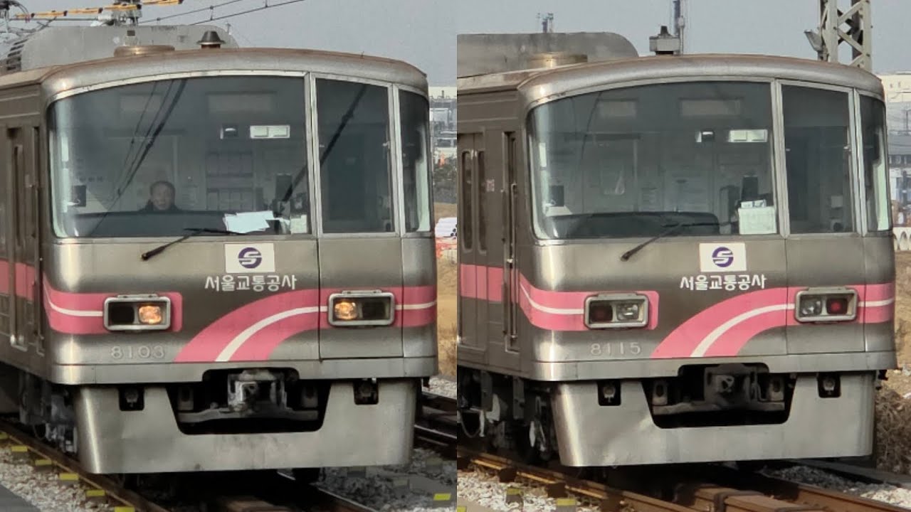 장기이식을 받은 녀석들끼리의 교행