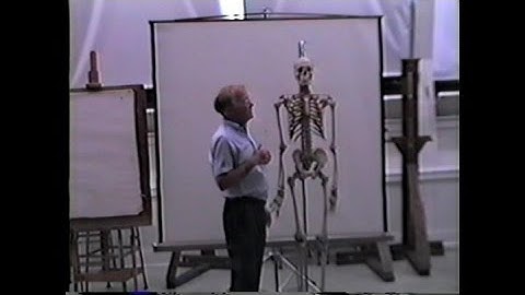 Deane G. Keller: Introduction to Anatomy