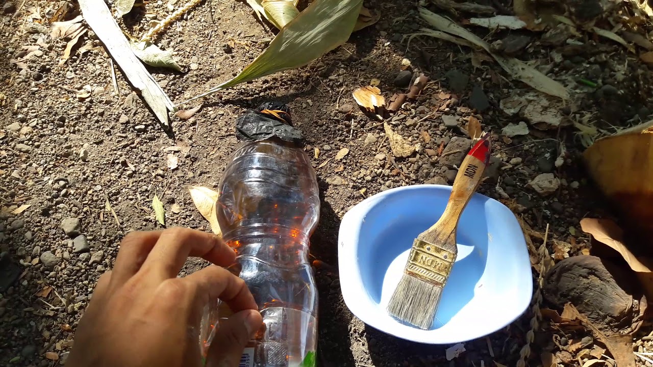 Cara mengawetkan kayu agar lebih awet dari bubuk kayu 