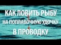 РЫБАЛКА в ПРОВОДКУ на ПОПЛАВОЧНУЮ УДОЧКУ для НАЧИНАЮЩИХ