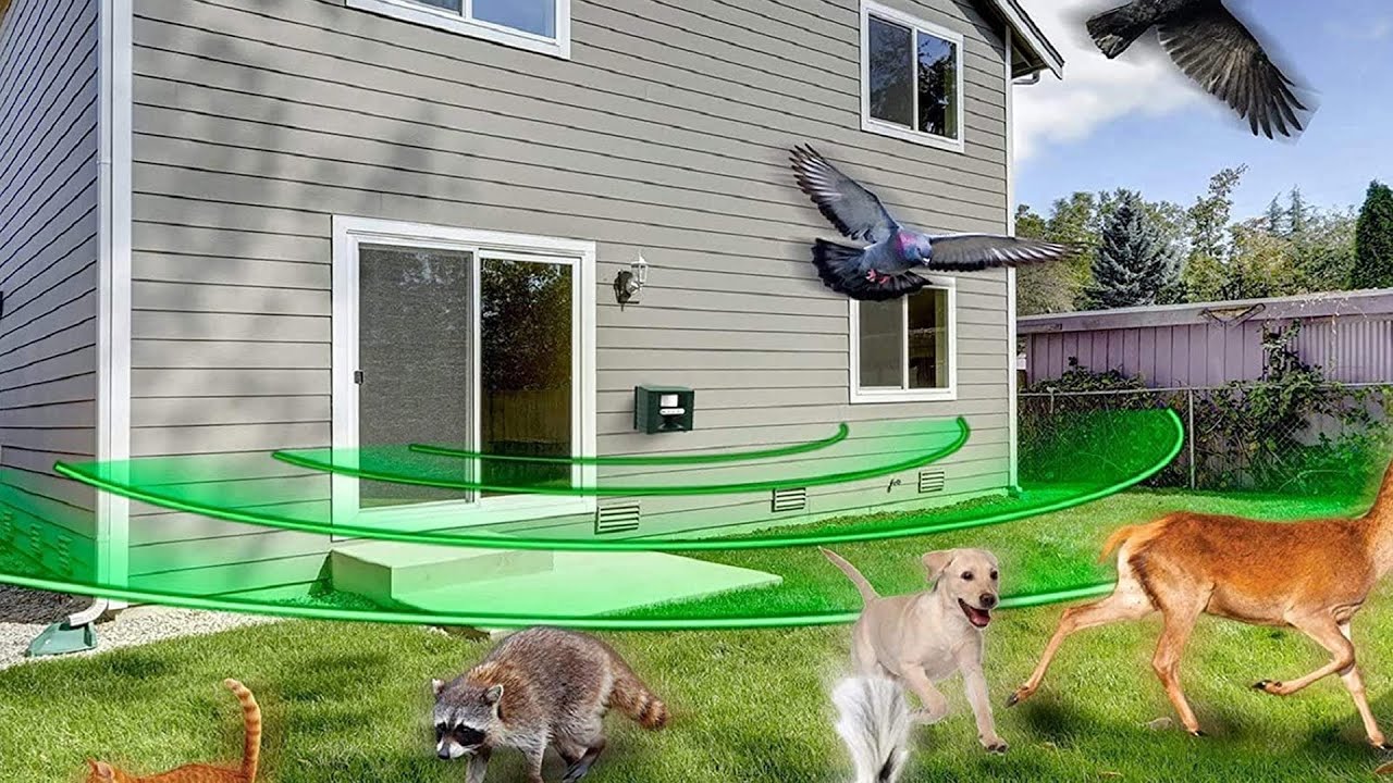 Top 5 Best Deer Repellents Review in 2023 - Are They Worth Buying?