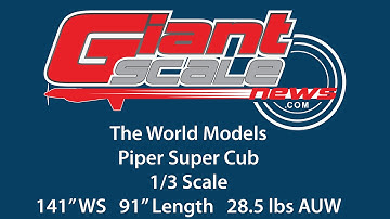 World Models 1/3 Scale Super Cub ARF Review, We