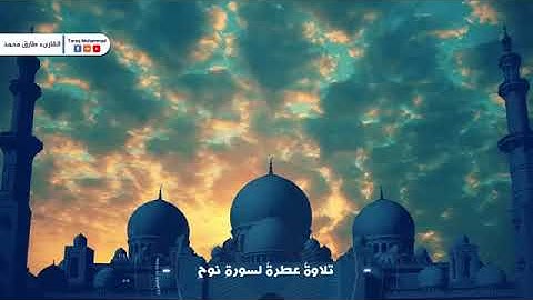 سورة  نوح  كاملة    طارق محمد