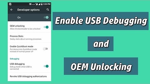 How to Enable USB Debugging and OEM Unlocking