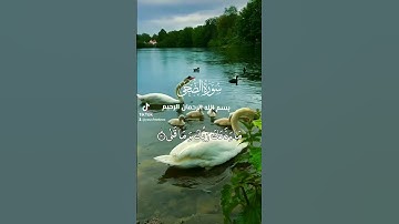 سورة الضحى  اللهم اجعل القران الكريم ربيعا قلوبنا ونور صدورنا يارب