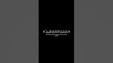 اكتب شيء تؤجر عليه 😊💖القرآن الكريم شاشة سوداء