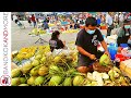 Isaan Farmers Market UDON THANI | North-East THAILAND