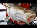 Rhode island cod fishing  s10 e5