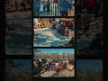 Bush Camp Highlights