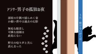 Arasa danshi no kodoku na yoru