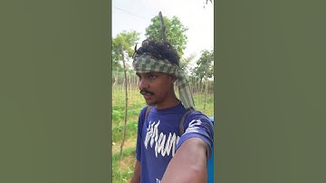 5,6 Din Helake Luta Mala // Sambalpuri Mini Vlog // Sambalpuri Short Video #minivlog #shortvideo