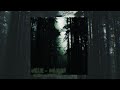 Willix Dolorem Reversed Slowed Willix Dolorem Reversed Slowed