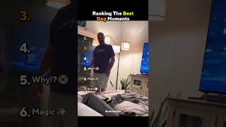 Ranking the best dog moments 💀🗿 #usa