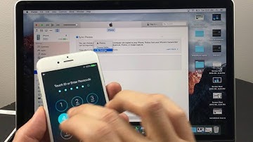 Iphone, Ipod, Ipad: Can