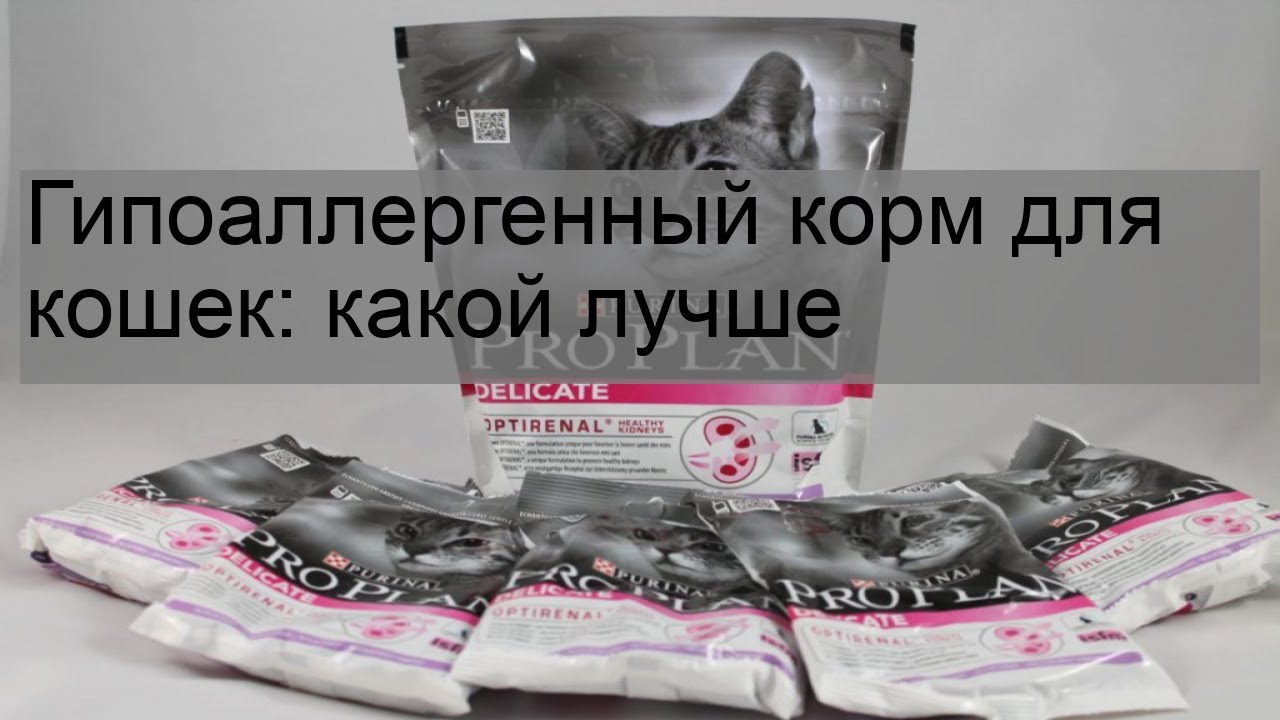 Гипоаллергенная или аналлергенная разница между Роял Канин