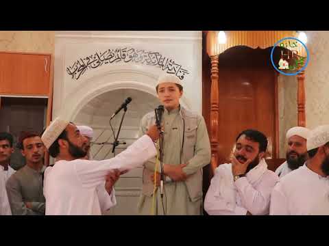 پسر کلان شهید مولانا انصاری به دشمنان پدرش اخطار داد