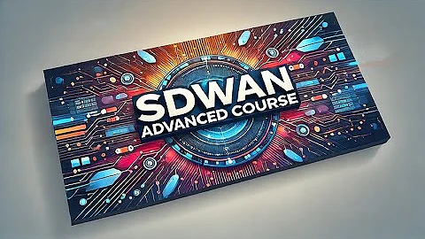 Fix Critical BGP Issues in Your SDWAN Network