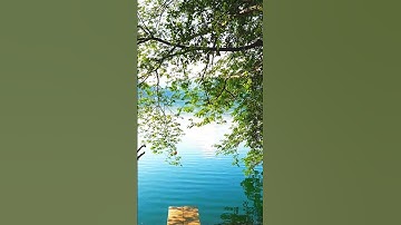Relaxing music for sleep, stress relief, #peacefulnaturesounds  #music #relax #nature #shots