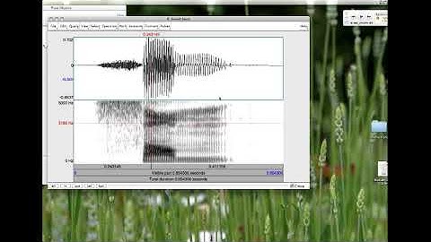 PRAAT finding formants