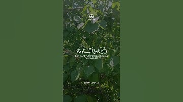 سورة لقمان #المصحف #القرآن_الكريم #اكسبلور