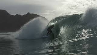 Aloha X Sequoia Cfd Fish